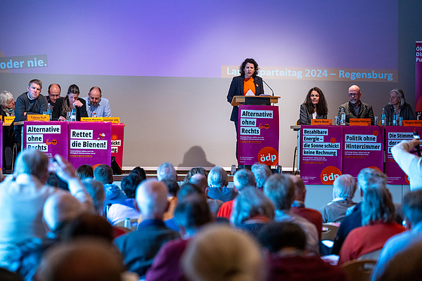 Manuela Ripa spricht auf dem bayerischen Landesparteitag in Regensburg