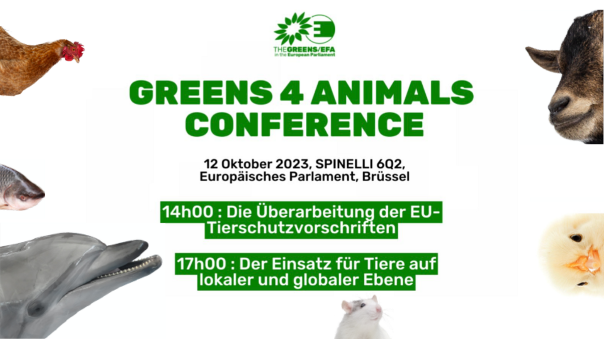Greens4Animals – Tierschutzkonferenz am 12.10.2023
