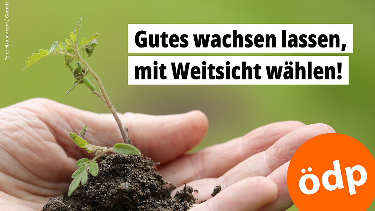 Gutes wachsen lassen, mit Weitsicht wählen!  -- pixabay.com / GoranH