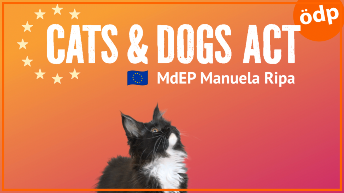 Cats and Dogs Act - Foto: EU-Büro Manuela Ripa Cats and Dogs Act - Foto: EU-Büro Manuela Ripa