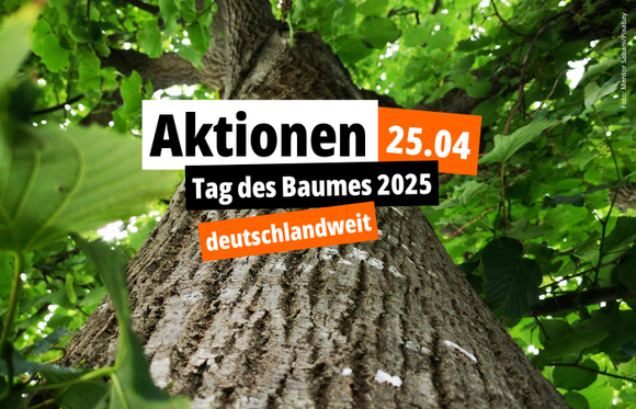 Aktionen zum Tag des Baumes 2025 - Foto: Mentor Sabani/Pixabay
