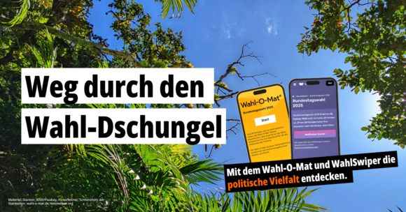 Weg durch den Wahl-Dschungel – Foto: Stanton_