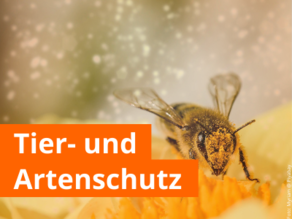 Tier- und Artenschutz