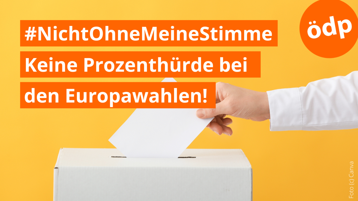 #NichtOhneMeineStimme - Keine Prozenthürde bei den Europawahlen!