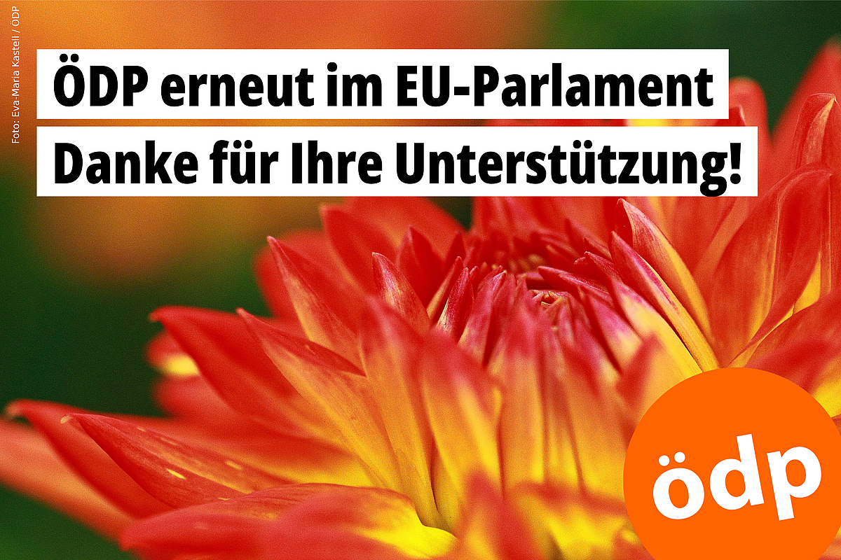 ÖDP erneut im EU-Parlament – Danke für Ihre Unterstützung! – Foto: Eva-Maria Kastell / ÖDP ÖDP erneut im EU-Parlament – Danke für Ihre Unterstützung! – Foto: Eva-Maria Kastell / ÖDP
