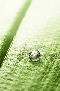 Wassertropfen