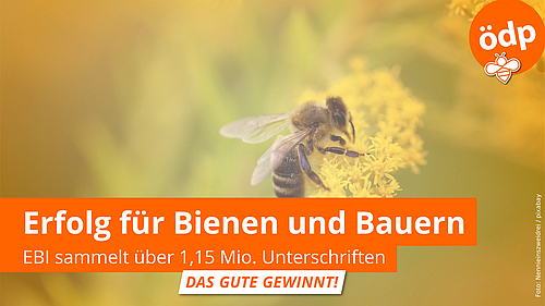 Sharepic: Erfolg für Bienen und Bauern - EBI sammelt über 1,15 Mio. Unterschriften