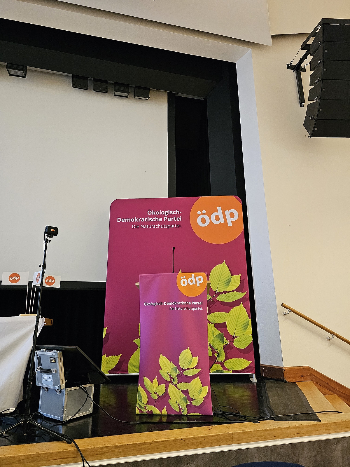 Bundesparteitag Bingen 2025