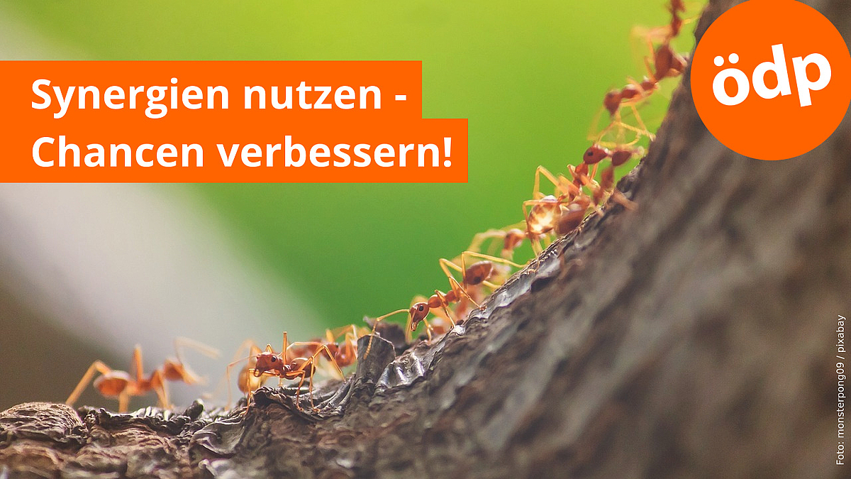 Synergien nutzen - Chancen verbessern! Synergien nutzen - Chancen verbessern!