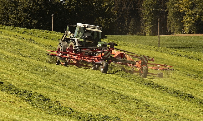 Traktor wendet Heu auf leicht abschüssiger Wiese