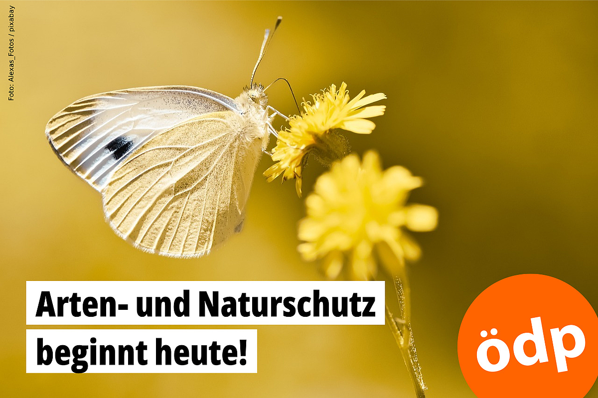 Arten- und Naturschutz beginnt heute!