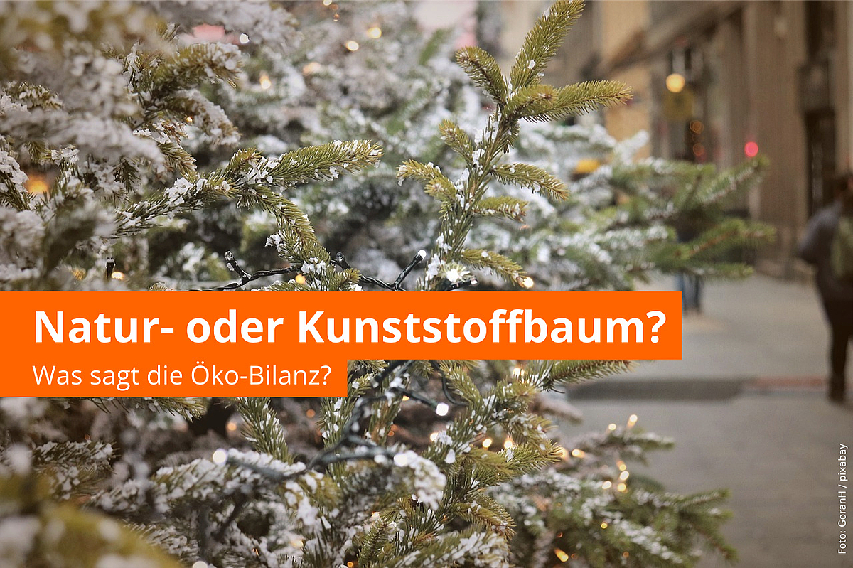 Natur- oder ein Kunststoffbaum - Was sagt die Öko-Bilanz?