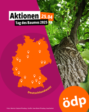 Aktionen, Tag des Baumes 2025, Deutschlandweit - Foto: Mentor Sabani/Pixabay, Grafik: Uwe Beier/Pixabay bearbeitet