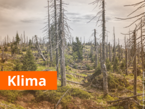 Klima