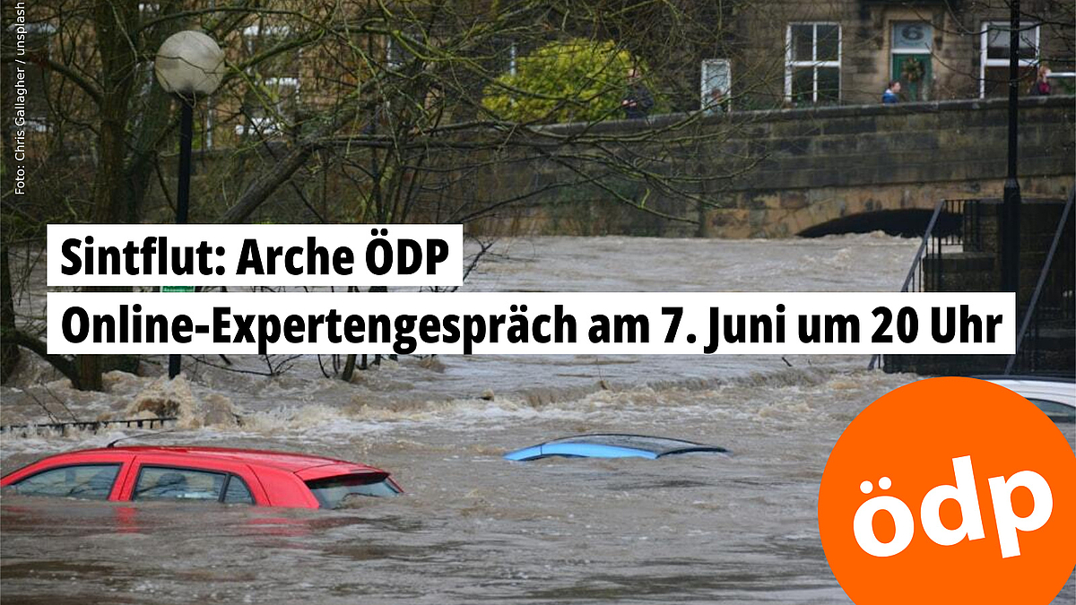 Online-Expertengespräch zu Schutzmaßnahmen gegen Hochwasser am 7. Juni um 20 Uhr