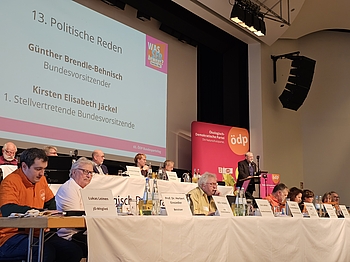 Bundesparteitag Bingen 2025