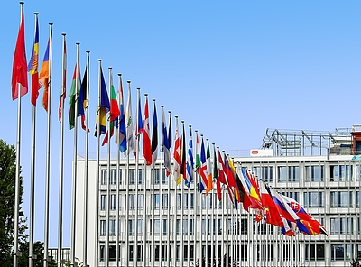 Flaggen der EU Flaggen der EU