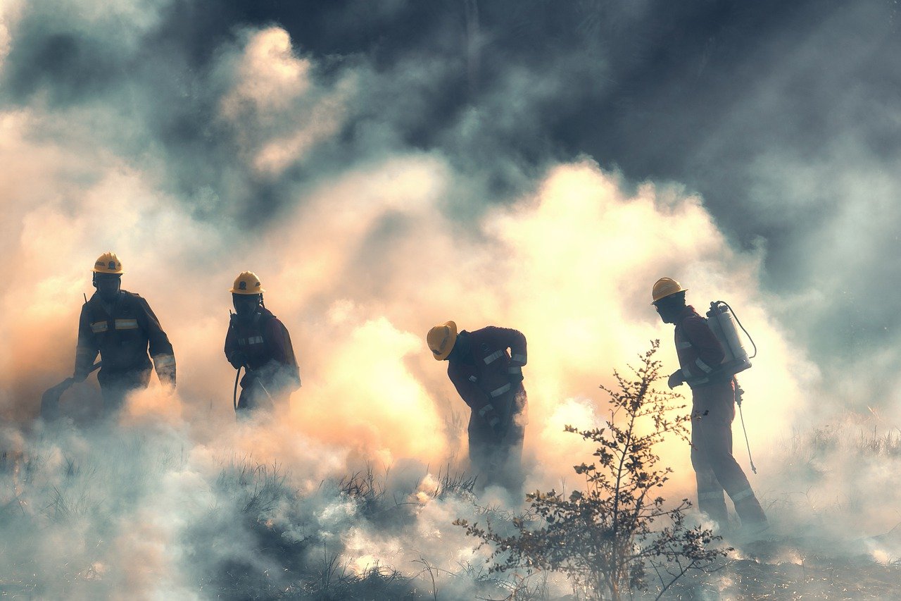 Foto: Feuerwehr Waldbrand -- pixabay.com/RonaldPlett