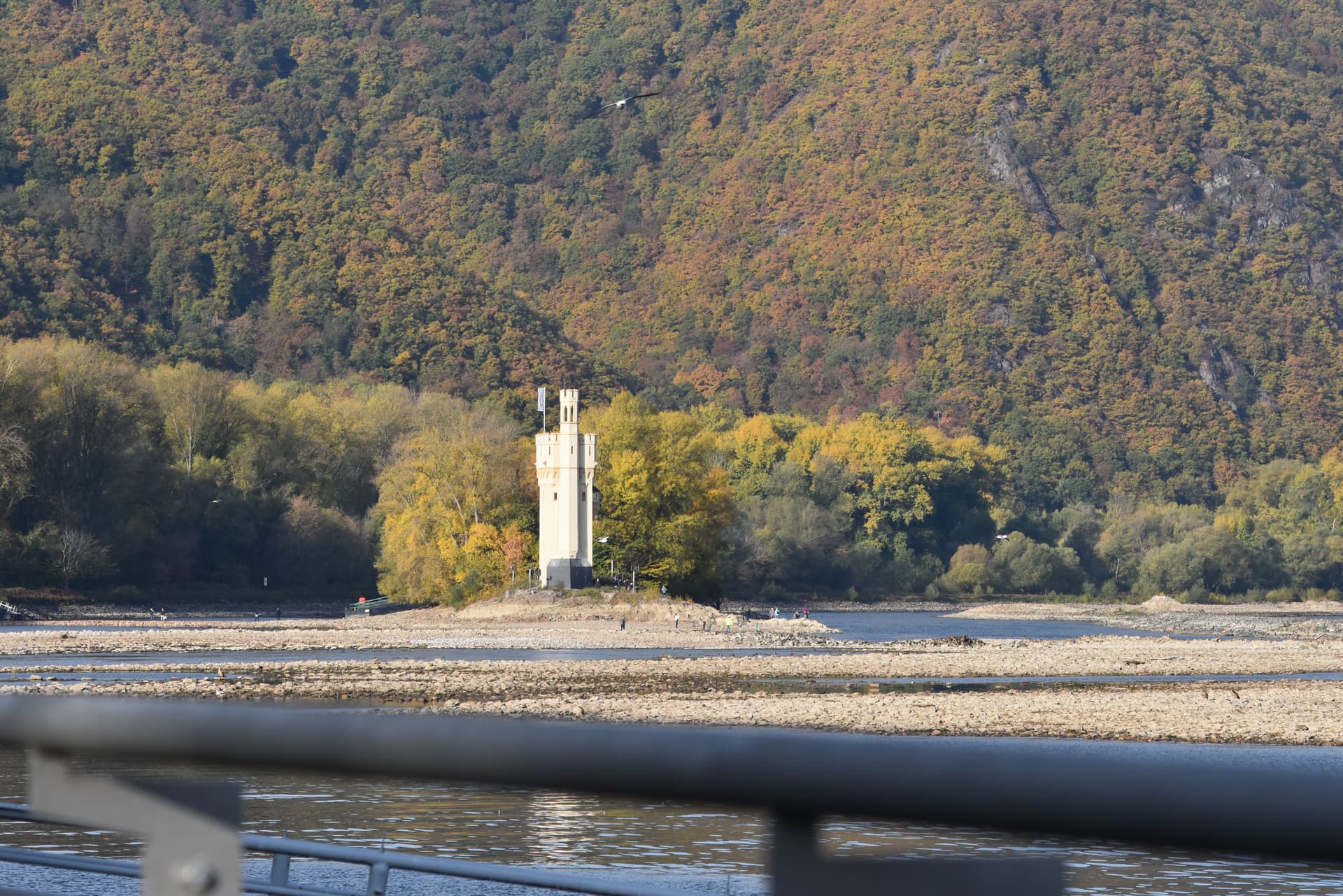 Binger Mäuseturm im Rhein – Foto: Helmut Kauer