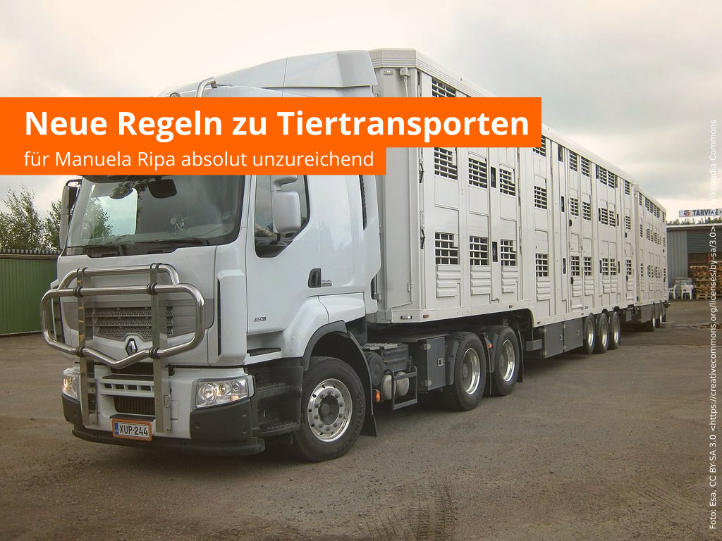 Neue Regeln zu Tiertransporten: für EU-Abgeordnete Manuela Ripa (ÖDP) absolut unzureichend!